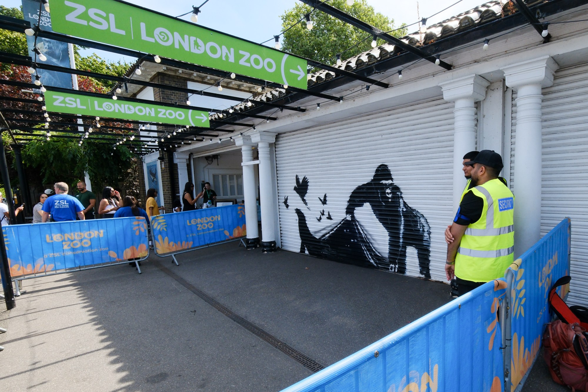 LONDON, UNITED KINGDOM - AUG 13, 2024 - A gorilla artwork by artist Banksy appears at ZSL London Zoo. (Photo credit should read Matthew Chattle/Future Publishing via Getty Images)